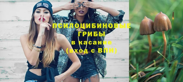 а пвп мука Бородино
