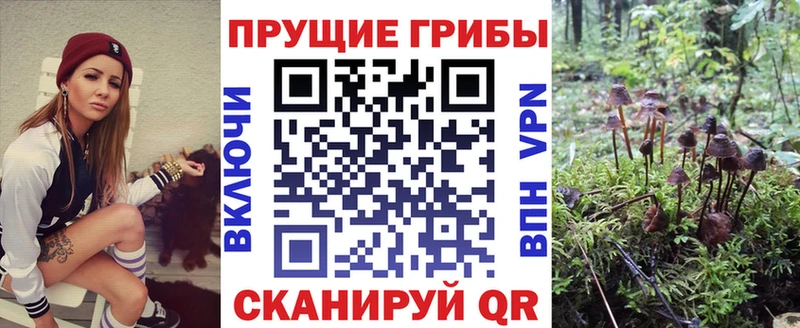 где можно купить наркотик OMG tor Галлюциногенные грибы мицелий сайты даркнета клад Вельск